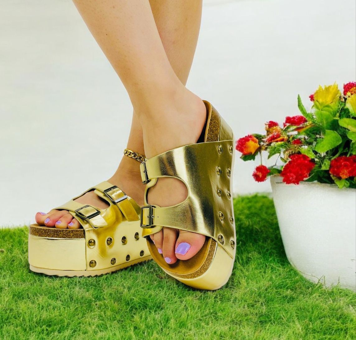 PLATAFORMA CARILLO..