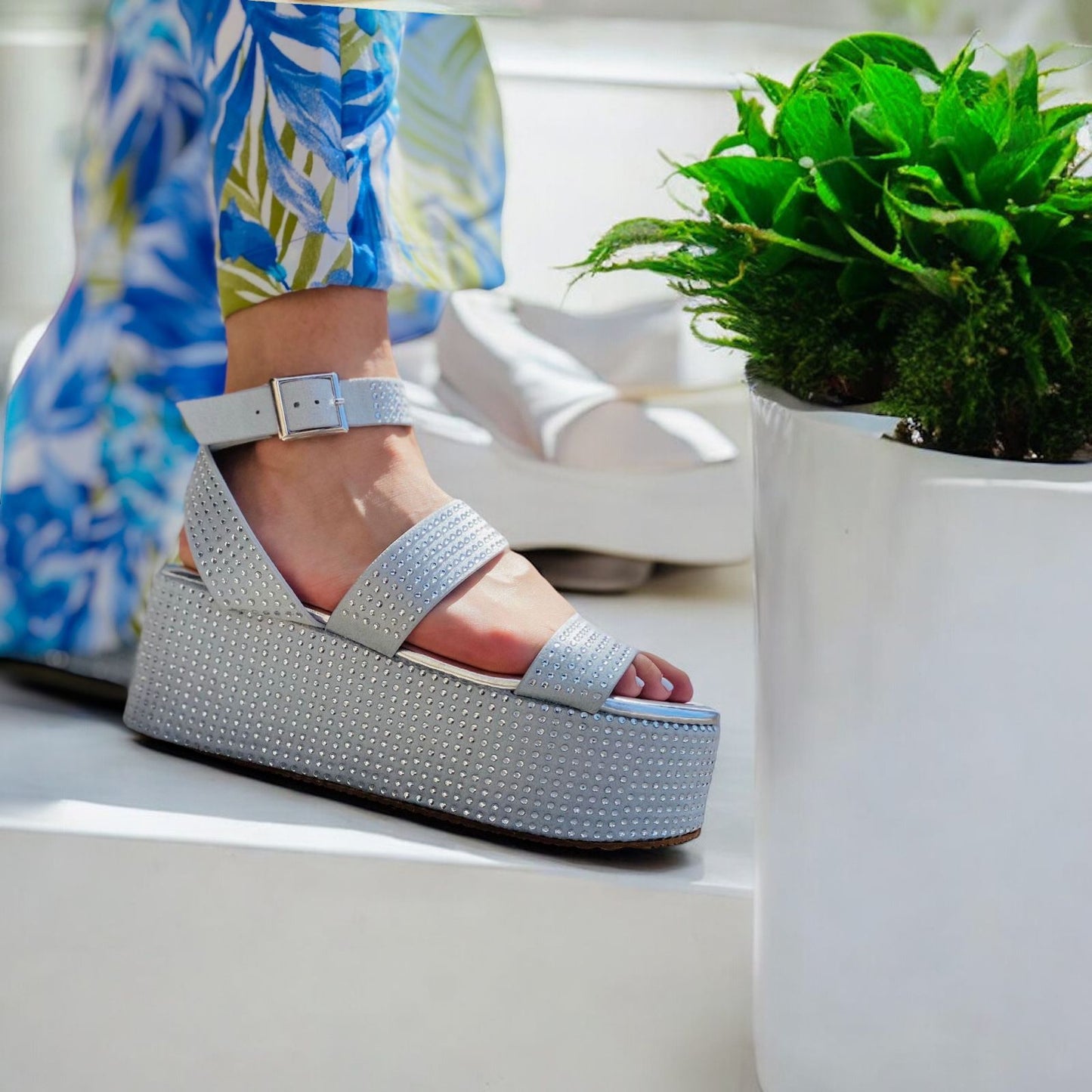 PLATAFORMA LOYALTY GANG