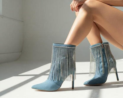 BOTIN LANCY